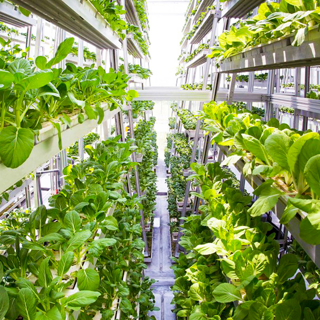 How farming as we know it is about to change forever