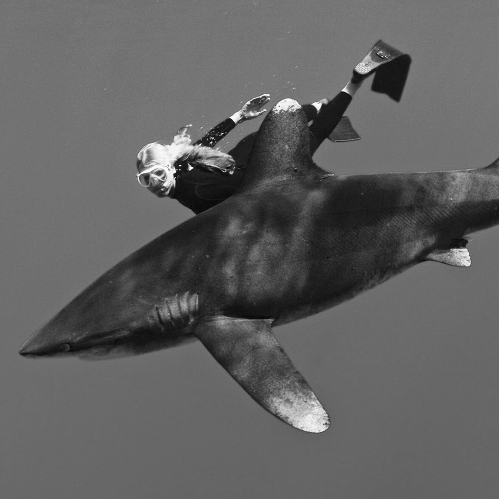 Environmentalist and shark conservationist Liz Parkinson